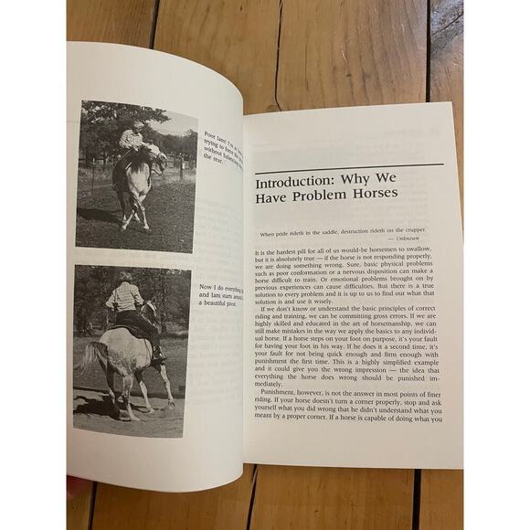 VTG There are no problem horses, only problem riders.Mary Twelveponies. p/b 1982 - Picture 4 of 5